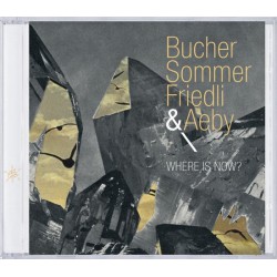 BucherSommerFriedli & Aeby ‎– Where Is Now