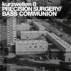 Precision Surgery / Bass Communion ‎– Kurzwellen 8