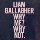 Liam Gallagher – Why Me? Why Not