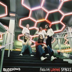 Blossoms ‎– Foolish Loving Spaces (CD)