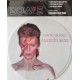 David Bowie - Aladdin Sane - Slipmat