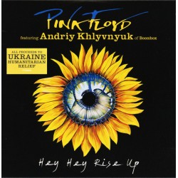 Pink Floyd Featuring Andriy Khlyvnyuk ‎– Hey Hey Rise Up