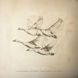 Near The Pond - Wild Geese (CD)