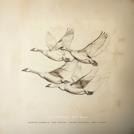 Near The Pond - Wild Geese (CD)