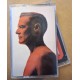 Bryan Adams – Shine A Light (Cassette)