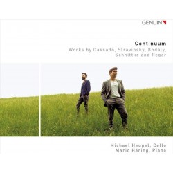 Michael Heupel, Mario Häring  ‎– Continuum (CD)