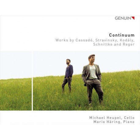 Michael Heupel, Mario Häring  ‎– Continuum (CD)