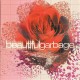 Garbage – Beautiful Garbage (3 CD)