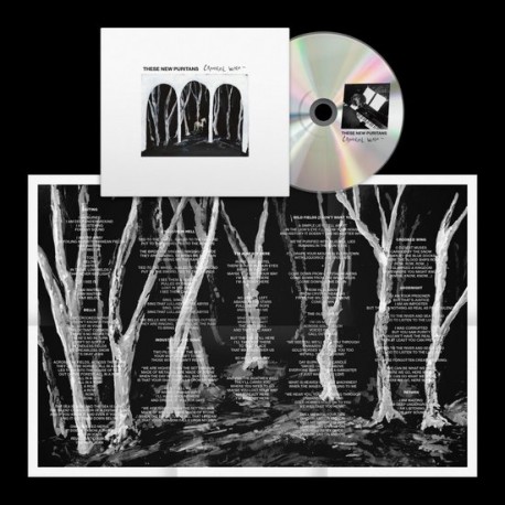 These New Puritans ‎– Crooked Wing (CD)