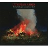 Bobby Gillespie And Jehnny Beth - Utopian Ashes (CD)