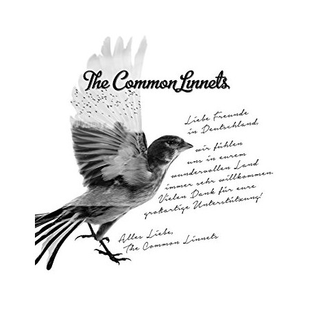 The Common Linnets – The Common Linnets