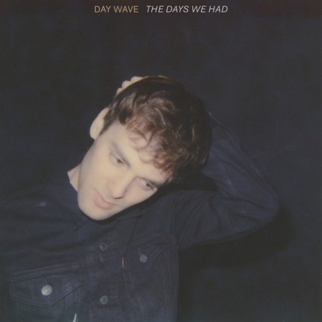 Day Wave ‎– The Days We Had