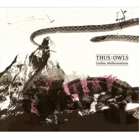 Thus:Owls ‎– Cardiac Malformations