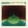 Gingerpig - Hidden From View