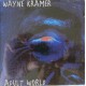 Wayne Kramer ‎– Adult World