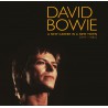 David Bowie ‎– A New Career In A New Town [1977-1982]