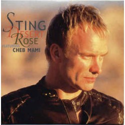 Sting Featuring Cheb Mami ‎– Desert Rose