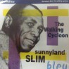 Sunnyland Slim - The Walking Cycloon