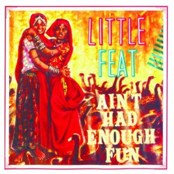 Little Feat ‎– Ain't Had Enough Fun