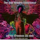 The Jimi Hendrix Experience ‎– Are You Experienced? (And More)