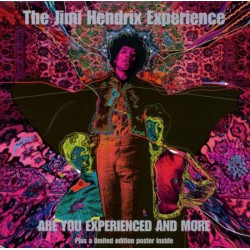 The Jimi Hendrix Experience ‎– Are You Experienced? (And More)