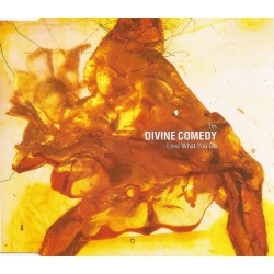 The Divine Comedy ‎– Love What You Do