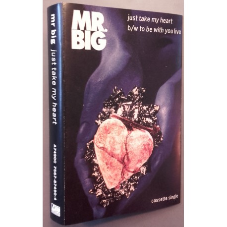 MR. BIG , Just Take My Heart , To Be With You, live 1991