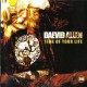 Daevid Allen ‎– Time Of Your Life
