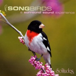 Gibson, Dan ‎– Songbirds: A Surround Sound Experience. (SACD)