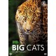Discovery Channel : Big Cats Secret Lives