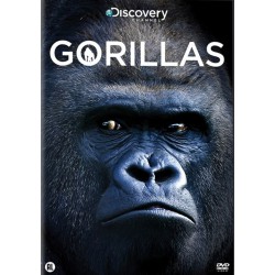 Discovery Channel : Gorillas