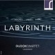 Dudok Kwartet Amsterdam - Labyrinth Mozart, Ligeti & Bach