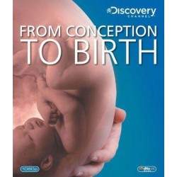 Discovery Channel : from Conception To Birth