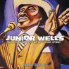 Junior Wells ‎– Paint The Town Blues