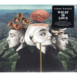 Clean Bandit ‎– What Is Love
