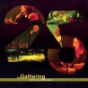 The Gathering ‎– TG25: Live At Doornroosje