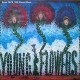 Young Flowers ‎– Blomsterpistolen