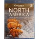 Discovery Channel : North America