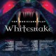 Various ‎– Top Musicians Play Whitesnake