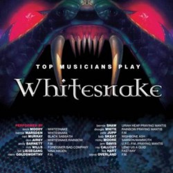 Various ‎– Top Musicians Play Whitesnake
