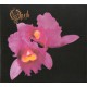 Opeth ‎– Orchid